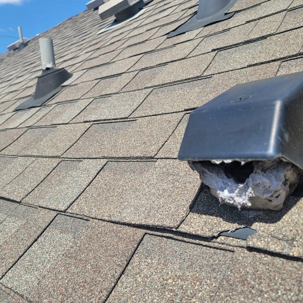 Black roof vent on asphalt shingles heavily clogged with a thick buildup of white lint.