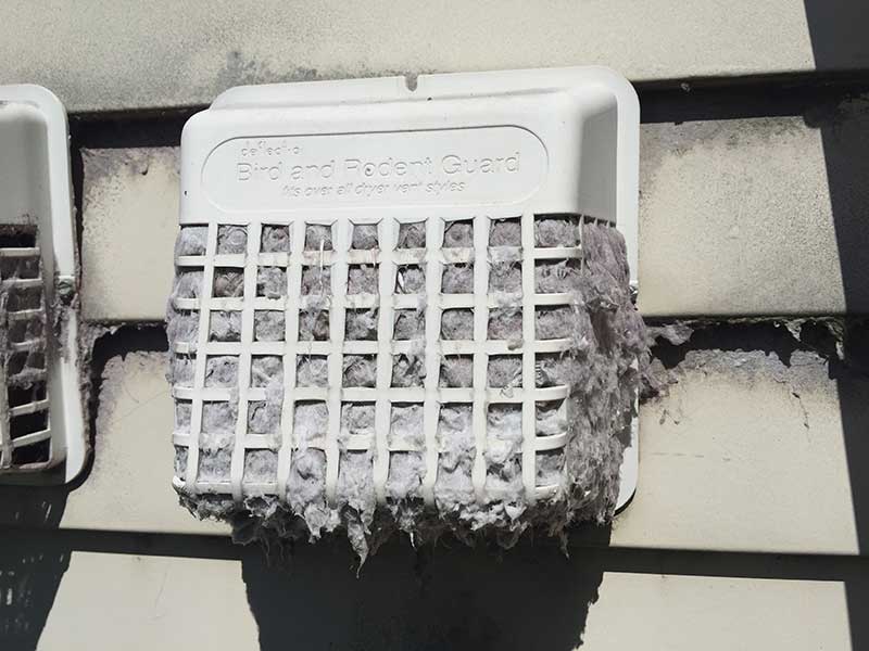 White plastic bird and rodent guard for dryer vent heavily clogged with grey lint.