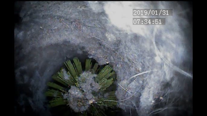 Green cleaning brush clearing thick lint buildup from inside a dark, dusty ventilation pipe.